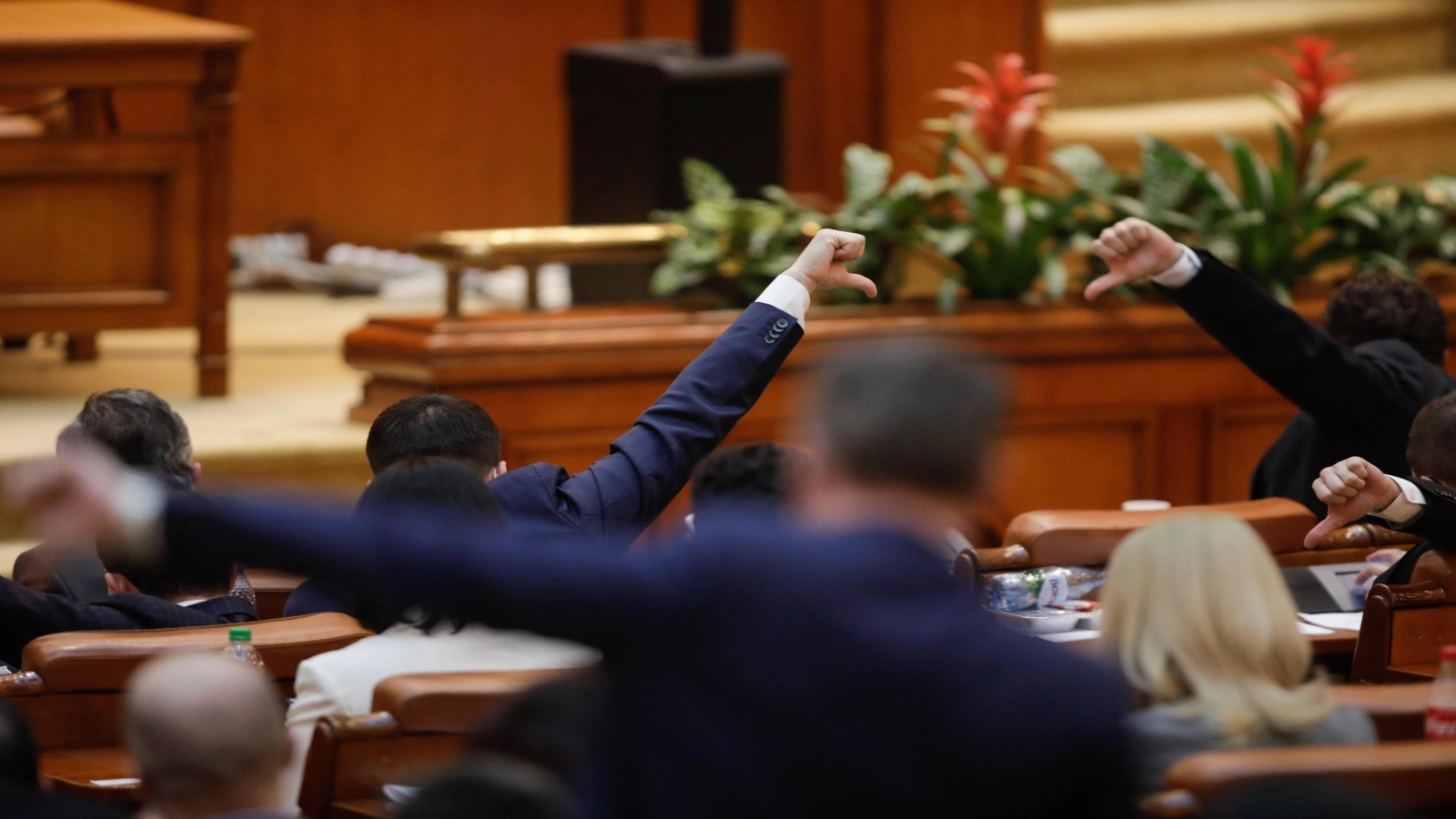 Partidul Umanist din România, fondat de DAN VOICULESCU, își schimbă orientarea politică și vizează o colaborare cu formațiuni considerate conservatoare