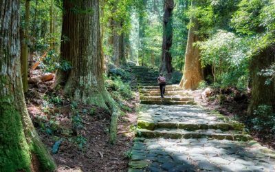 Japonia și-a deschis porțile către iubitorii de natură și aventură printr-un proiect ambițios: Hitachinokuni Long Trail, cel mai lung traseu turistic circular din țară, a fost inaugurat complet după șapte ani de amenajări