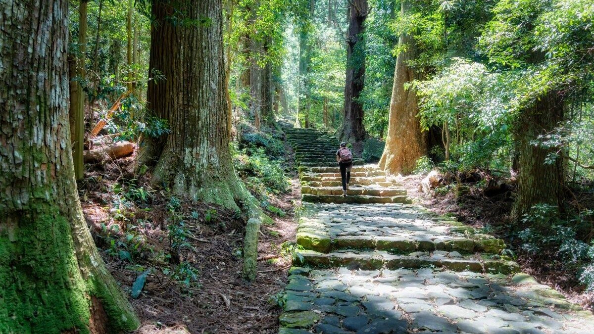 Japonia și-a deschis porțile către iubitorii de natură și aventură printr-un proiect ambițios: Hitachinokuni Long Trail, cel mai lung traseu turistic circular din țară, a fost inaugurat complet după șapte ani de amenajări